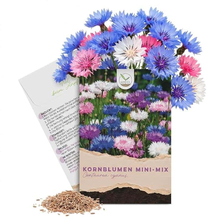 Semi di Fiordaliso (Centaurea cyanus) - Fiori meravigliosamente brillanti con lunga fioritura, di piccole dimensioni - ideali per il vaso da balcone (Mini Mix, 1000 semi, 50 cm)