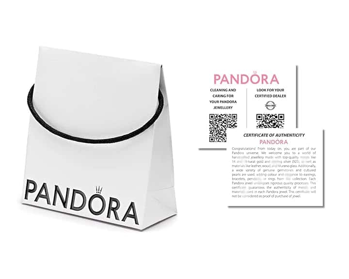 PANDORA Pandora Borsa Eco-Regalo (14x14x6 cm)