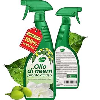 Olio di Neem Spray per Piante 750ml Pronto Uso Azione Naturale contro varie Avversità Giardino Casa Multiuso Estratto Meccanicamente Pressatura a Freddo