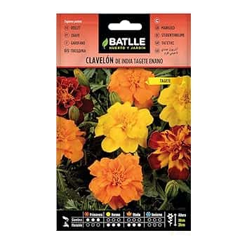 Semillas Batlle Clavelon di India Tage Nano