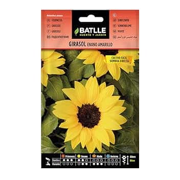 Battle- Semi di Fiori, Girasole Nano Giallo
