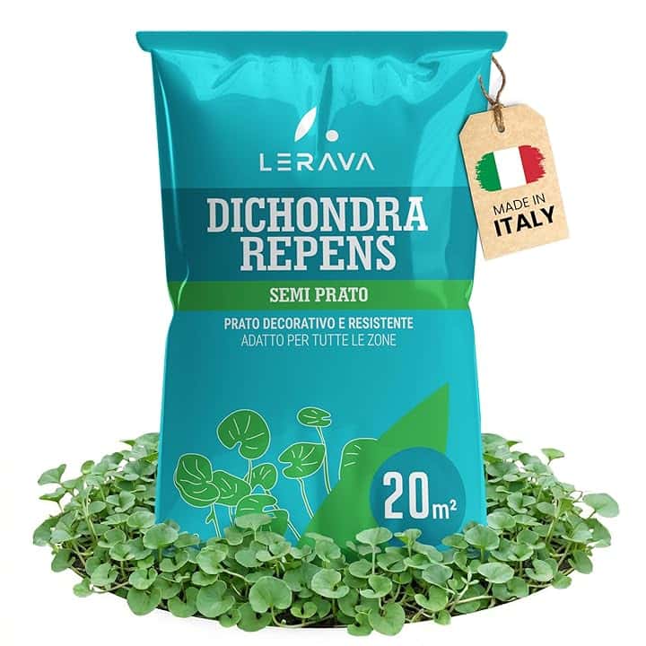 LERAVA Dicondra semi (20m²) - Non richiede taglio - Estrema resistenza alla siccità - semi dicondra per prato ideali per zone soleggiate e ombreggiate - dichondra repens sempre perfetto - 200g