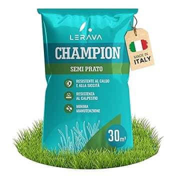 LERAVA CHAMPION semi prato (30m²) - festuca arundinacea di qualità - resistente a siccità e alte temperature - prato verde scuro fine - ideale per giardini e spazi verdi