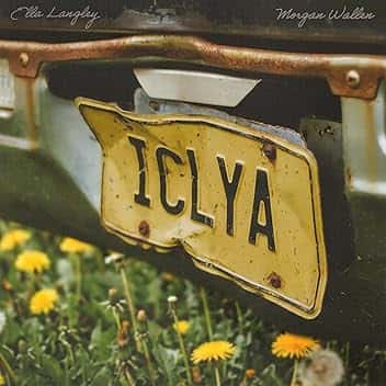 I Can't Love You Anymore