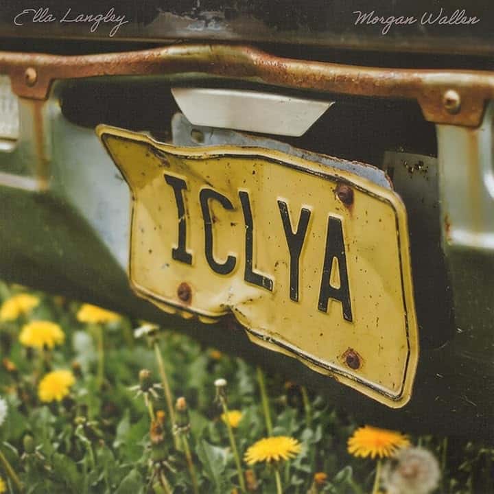 I Can't Love You Anymore