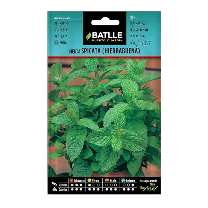Battle - Semi Aromatici Menta Spicata/Romana (Semi - 40-50Cm)