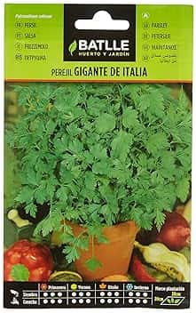 Battle - Semi Aromatici Prezzemolo Gigante d'Italia (Semi - 35Cm)