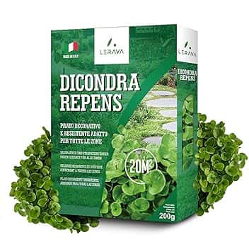 LERAVA® Dicondra semi [Non Richiede Taglio] - 20m² - Estrema resistenza alla siccità - Dichondra repens semi ideali per zone ombreggiate e soleggiate - semi dicondra per prato - 200g