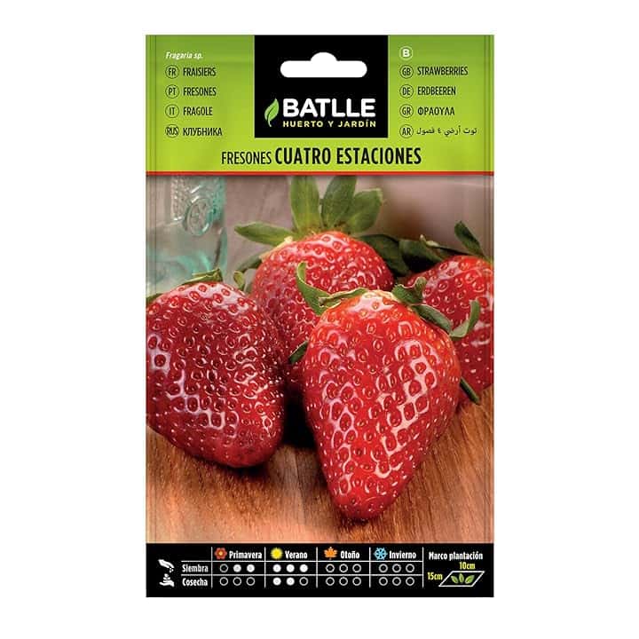 Battle - Semi Aromatici Fragole 4 Stagioni (Piante 10 x15 Cm)