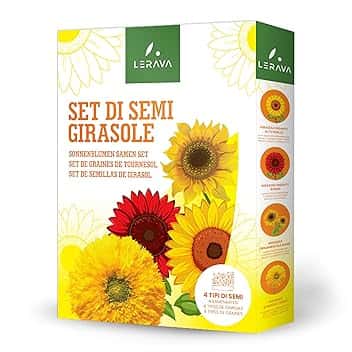 LERAVA® Semi Girasoli (4 varietà) - Girasole gigante rosso giallo nano Sungold - Facile coltivazione per giardino - Semi di girasole da piantare per fioriture ricche e colorate