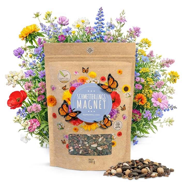 Semi di prato di farfalla per un prato di fiori colorati - ricco di nettare mix di semi di fiori selvatici per le farfalle (100g (per min. 50m²))