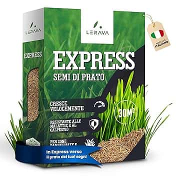 LERAVA® EXPRESS semi prato crescita rapida (30m²) - Semina resistente al calpestio - Sementi per prato soleggiato e mezz’ombra - Semi per un giardino verde fitto - 0,75kg