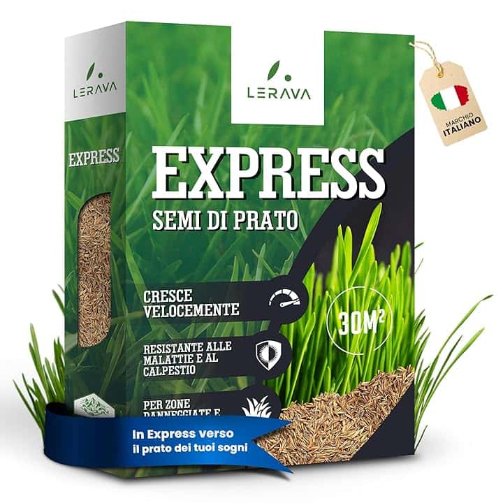 LERAVA® EXPRESS semi prato crescita rapida (30m²) - Semina resistente al calpestio - Sementi per prato soleggiato e mezz’ombra - Semi per un giardino verde fitto - 0,75kg