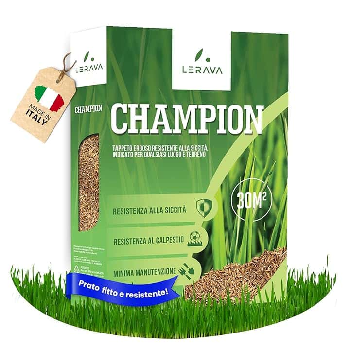 LERAVA CHAMPION semi prato (30m²) - festuca arundinacea di qualità - resistente a siccità e alte temperature - prato verde scuro fine - ideale per giardini e spazi verdi