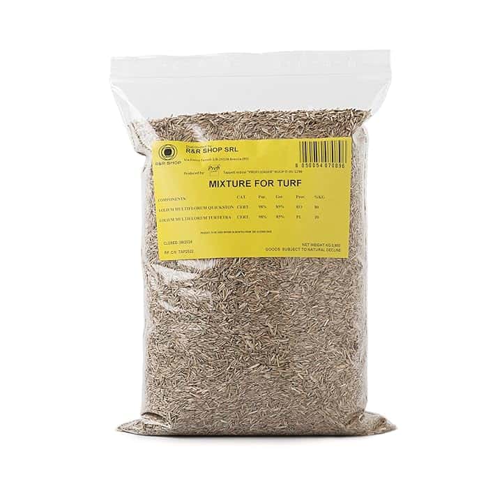 Semi per Prato Resistente, Loietto, Crescita Rapida e Calpestabile, Adatto a tutti i tipi di Terreno (500gr - 20mq)