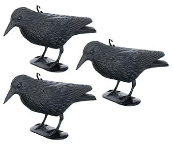 Brandsseller Corvo Nero in Plastica 36 x 20 cm Repellente per Piccioni Deterrente per Uccelli Contro Piccoli Uccelli e Piccioni Spaventatore per Animali - Set da 3