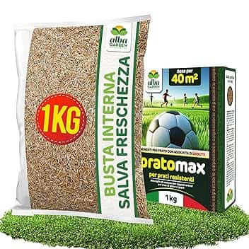 Albagarden - Semi Prato Resistente Al Calpestio - 40m² - Sementi Erba per Tappeti Erbosi per Aree Gioco - Super Calpestabile - Rapida Crescita per ogni Tipo di Terreno e Giardino