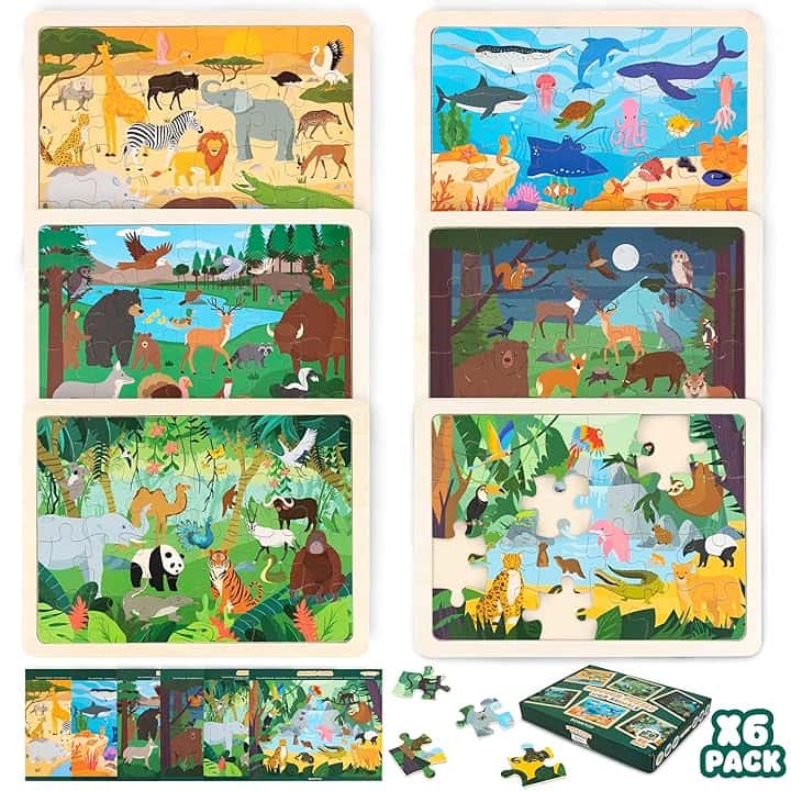 BONNYCO Puzzle Legno Bambini 6 Sets 24 Pcs, Animali di Diversi Ecosistemi. Puzzle 3-8 Anni con Tavoletta, Giochi Educativi. Giocattoli, Regalo Bambino e Bambina, Natale