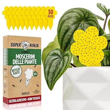 Super Ninja Trappole anti Moscerini delle Piante - 30 Pezzi, Esche Adesive Eco, Catturano i Moscerini del Terriccio in Casa, Senza Insetticidi, Sicure per uso Interno/Esterno, Durata 3 Mes