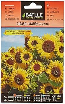 Semillas Batlle Girasole Wahoo Giallo