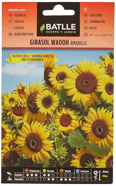 Semillas Batlle Girasole Wahoo Giallo