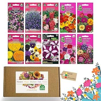 Nojus - Set di semi di fiori – Semi di fiori 10 varietà – Semi di fiori da balcone – Semi di piante colorate – 10 confezioni – Semi di fiori selvatici – Sacchetto di semi di fiori