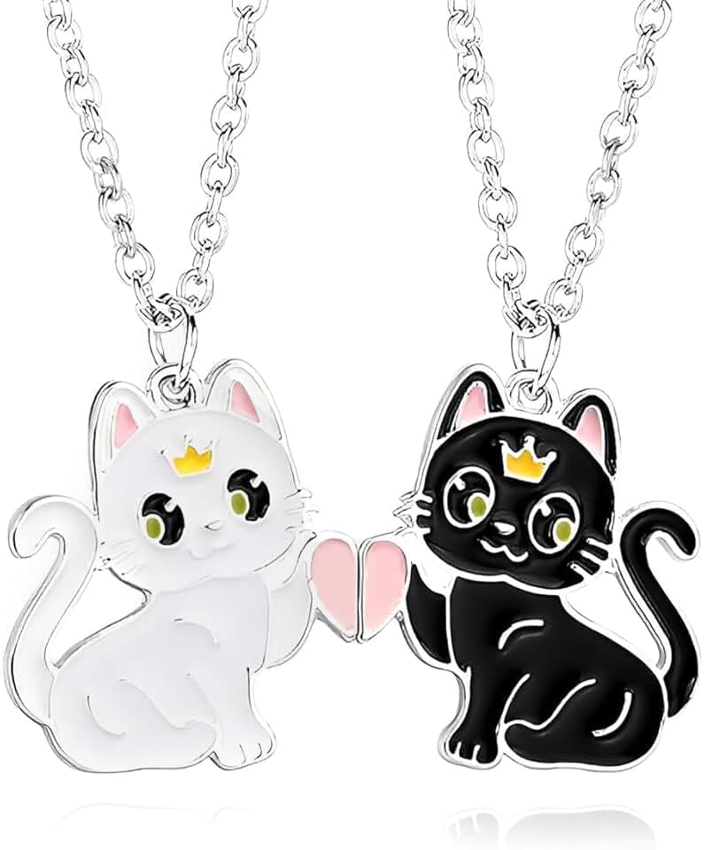 JEYORZY 2 pezzi Collane con ciondolo dell'amicizia per ragazze, Collana delle migliori amiche, Regalo di compleanno ideale per le migliori amiche, Collana simbolica dell'amicizia per ragazze