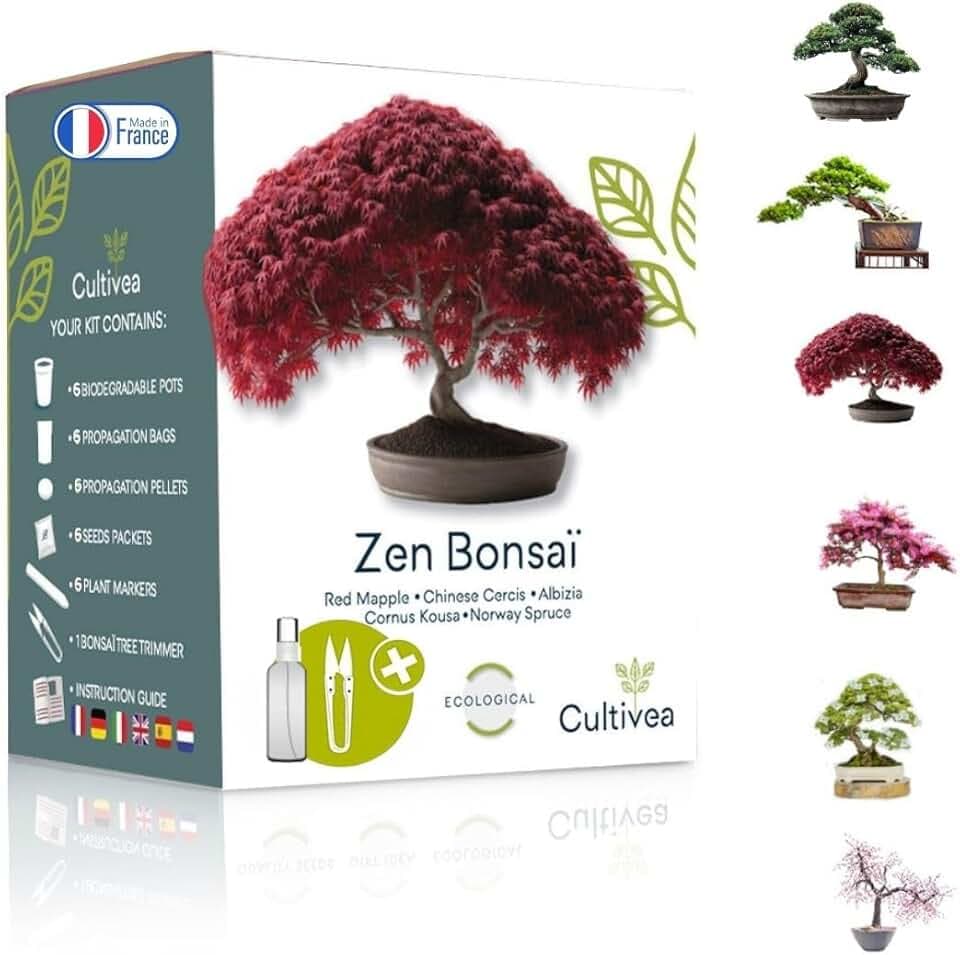 Cultivea Mini - Bonsai Ready-to-Grow Kit - Semi francesi 100% ecologici - Giardino e decorazione - Idea regalo (Mela rossa, Cercis cinese, Cornus Kousa, Albizia, Abete rosso)