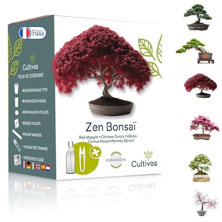 Cultivea Mini - Bonsai Ready-to-Grow Kit - Giardino e decorazione - Idea regalo (Mela rossa, Cercis cinese, Cornus Kousa, Albizia, Abete rosso)