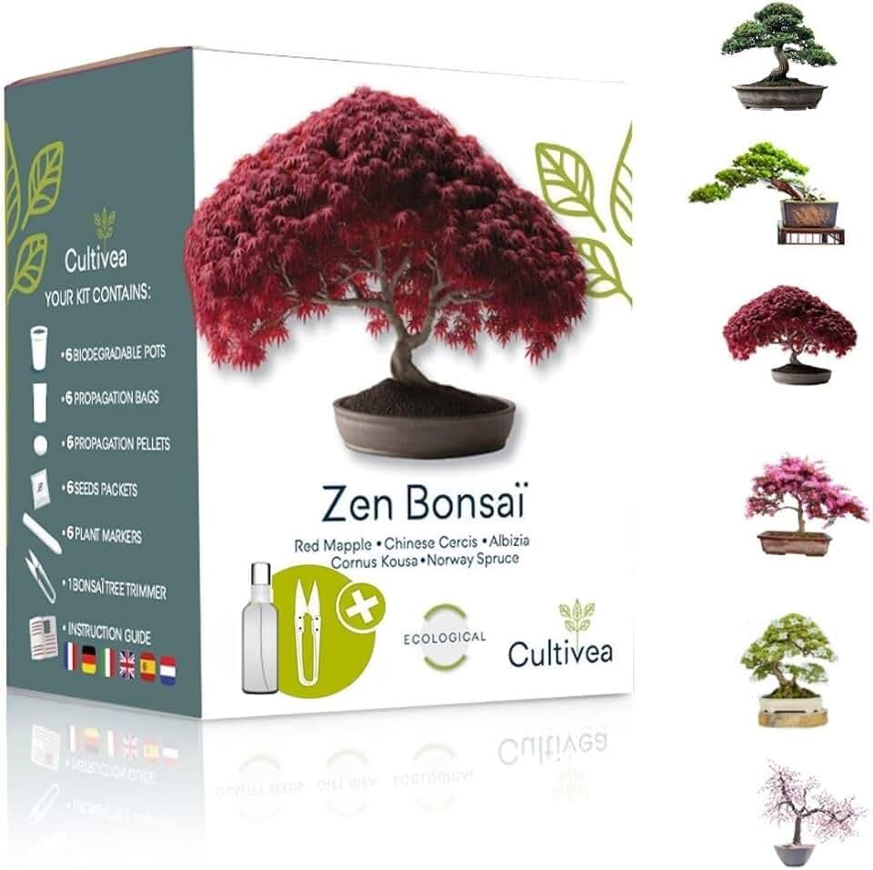 CULTIVEA Kit Zen Bonsai – Bonsai Kit Completo con 6 Varietà da Coltivare: Acero Rosso, Cercis Cinese, Albizia, Cornus Kousa, Abete Rosso e Juniperus – Idea Regalo per Amanti delle Piante