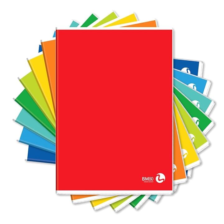 Bm - BeMore – Color Basic 0110603 – Quaderno Formato A4 (21Cm X 29,7Cm) – Rigatura 5Mm – Quadretti 5 Mm Senza Margini Per Elementari E Medie– Carta 80G/Mq – Colori Assortiti – Confezione Da 10 Pezzi