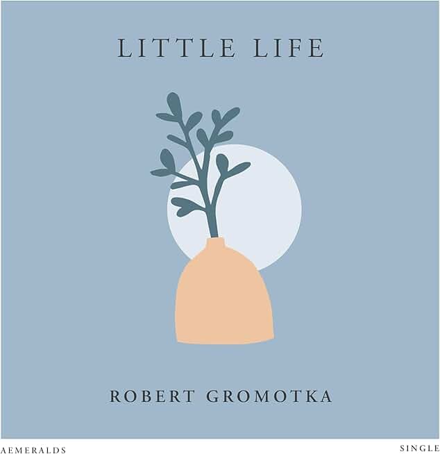 Little Life