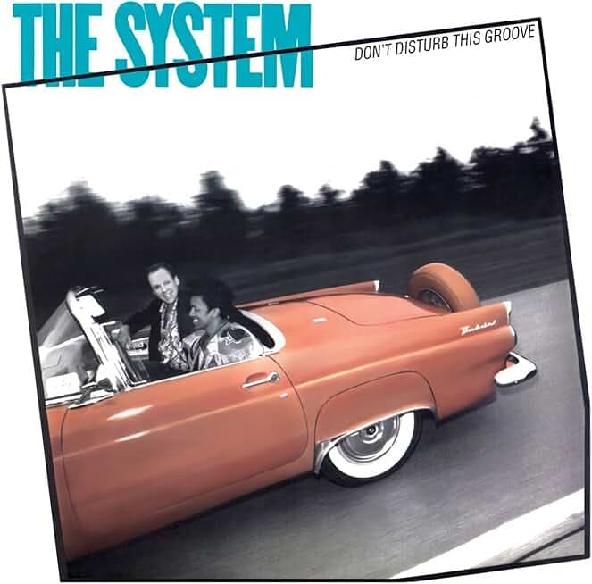 Don't Disturb This Groove