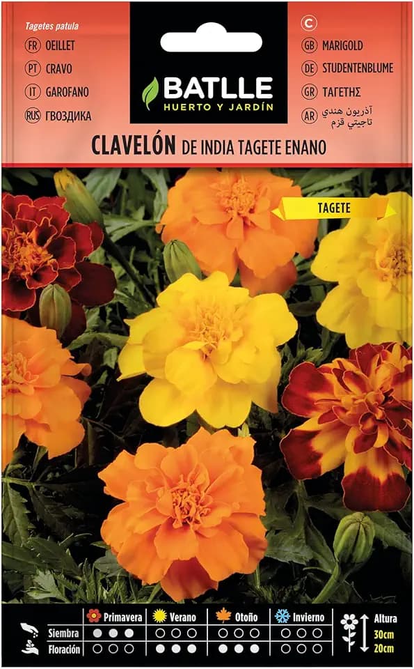 Semillas Batlle Clavelon di India Tage Nano