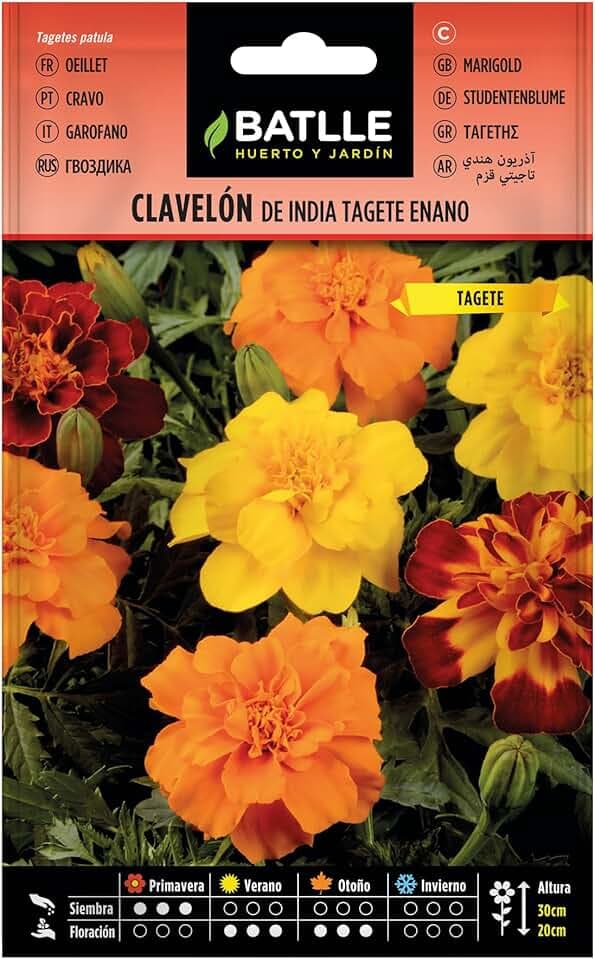 Clavelon di India Tage Nano