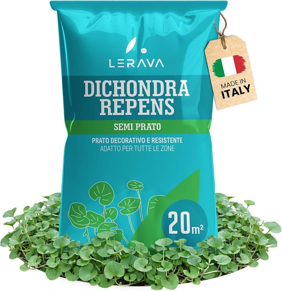 LERAVA Dicondra semi (20m²) - Non richiede taglio - Estrema resistenza alla siccità - semi dicondra per prato ideali per zone soleggiate e ombreggiate - dichondra repens sempre perfetto - 200g