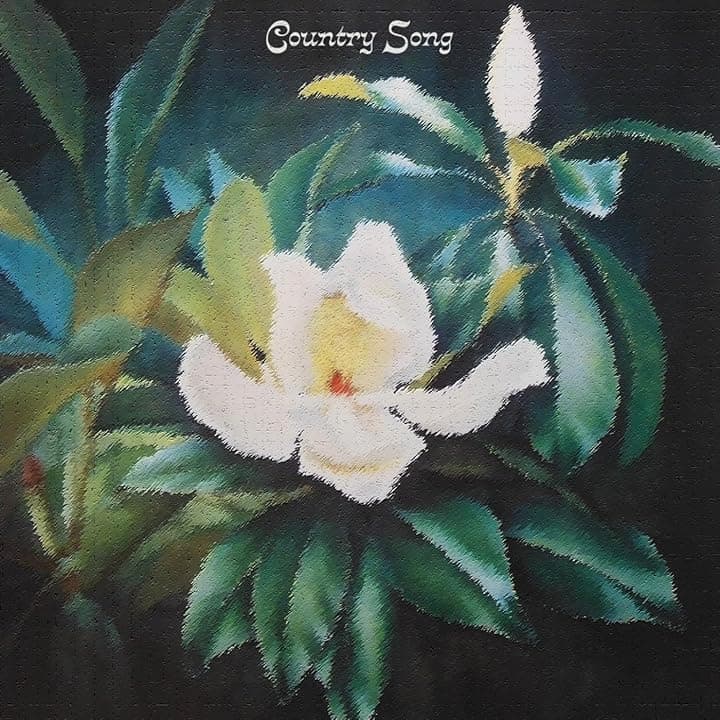 Country Song