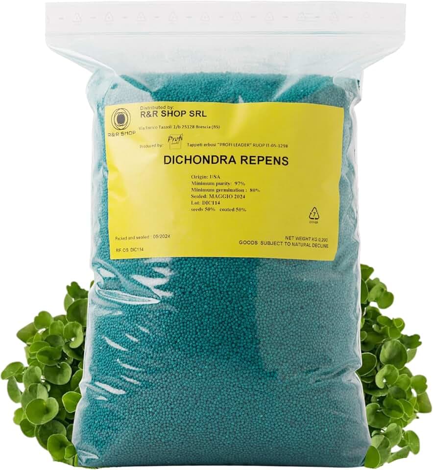 Semi Per Prato, Dichondra Repens, Origine Usa, Resistente E Decorativo (200gr - 20mq)