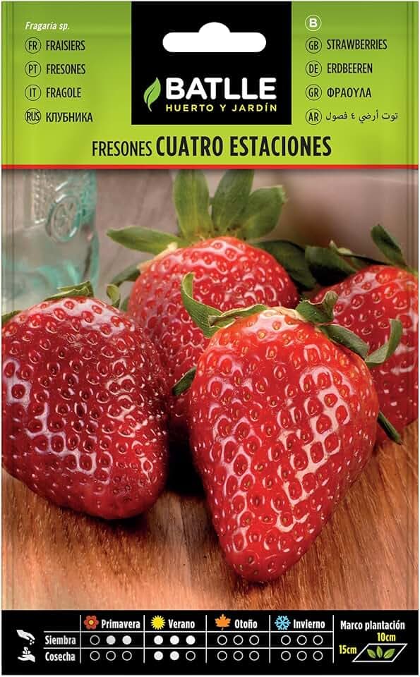 Battle - Semi Aromatici Fragole 4 Stagioni (Piante 10 x15 Cm)