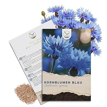 Semi di Fiordaliso (Centaurea cyanus) - Fiori splendidamente luminosi con lungo periodo di fioritura per un prato fiorito (Blu, 1000 semi, 80 cm)