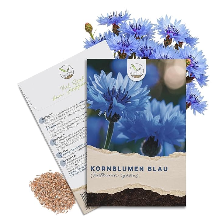 Semi di Fiordaliso (Centaurea cyanus) - Fiori splendidamente luminosi con lungo periodo di fioritura per un prato fiorito (Blu, 1000 semi, 80 cm)