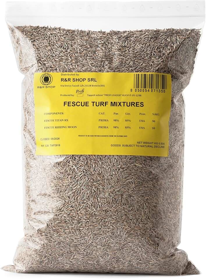 Semi per Prato, Festuca Arundinacea, Resistente e Duratura (500gr - 20Mq)