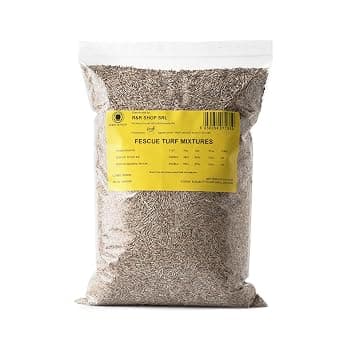 Semi per Prato, Festuca Arundinacea, Resistente e Duratura (500gr - 20Mq)