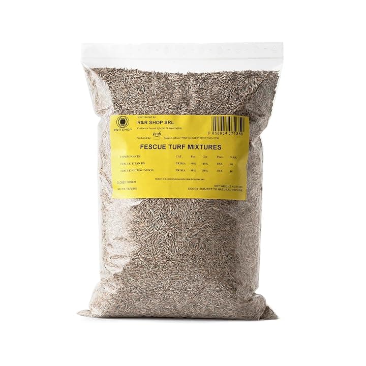 Semi per Prato, Festuca Arundinacea, Resistente e Duratura (500gr - 20Mq)
