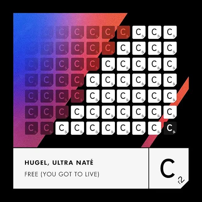 Free (You Got To Live) (Extended Mix)