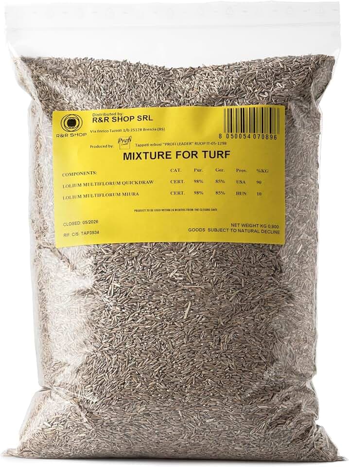 Semi per Prato Resistente, Loietto, Crescita Rapida e Calpestabile, Adatto a tutti i tipi di Terreno (500gr - 20mq)