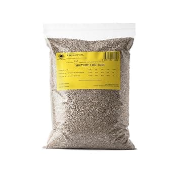 Semi per Prato Resistente, Loietto, Crescita Rapida e Calpestabile, Adatto a tutti i tipi di Terreno (500gr - 20mq)