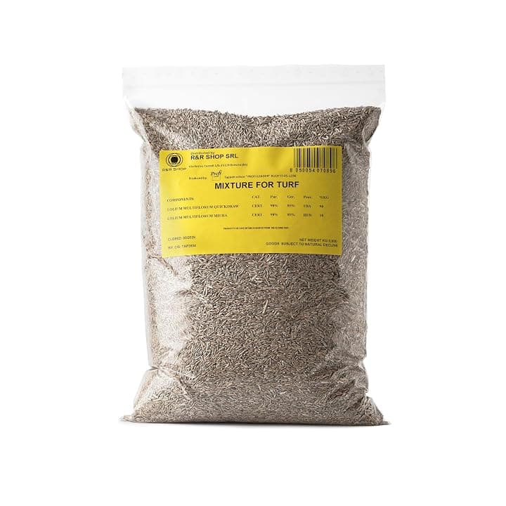 Semi per Prato Resistente, Loietto, Crescita Rapida e Calpestabile, Adatto a tutti i tipi di Terreno (500gr - 20mq)
