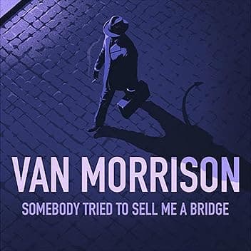 Somebody Tried To Sell Me A Bridge