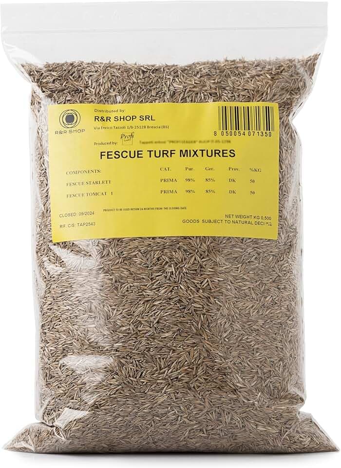 Semi per Prato, Festuca Arundinacea, Resistente e Duratura (500gr - 20Mq)